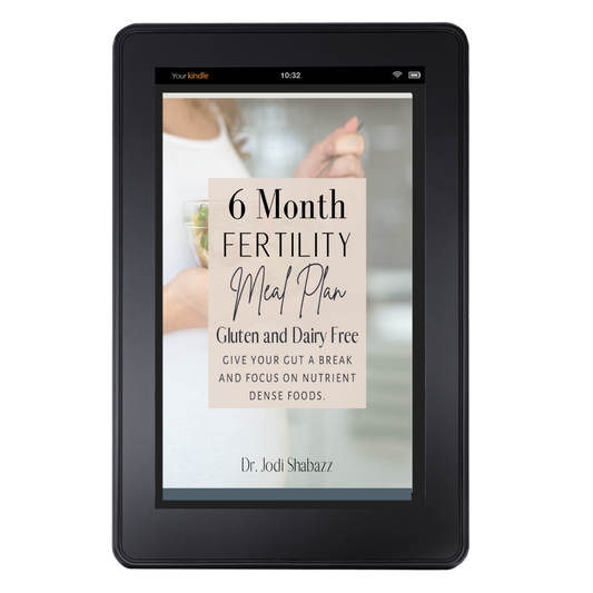 6 Month Fertility Meal Plan - Gluten and Dairy Free