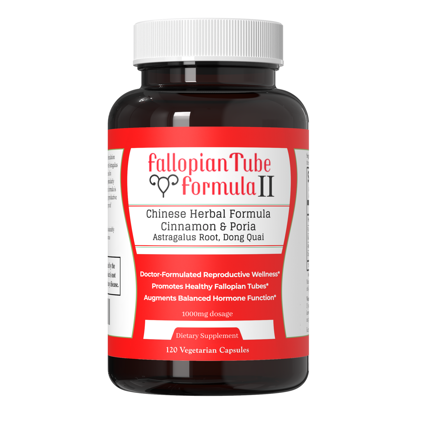 Fallopian Tube Formula II