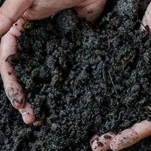 Humic and Fulvic Acid - The Missing Link